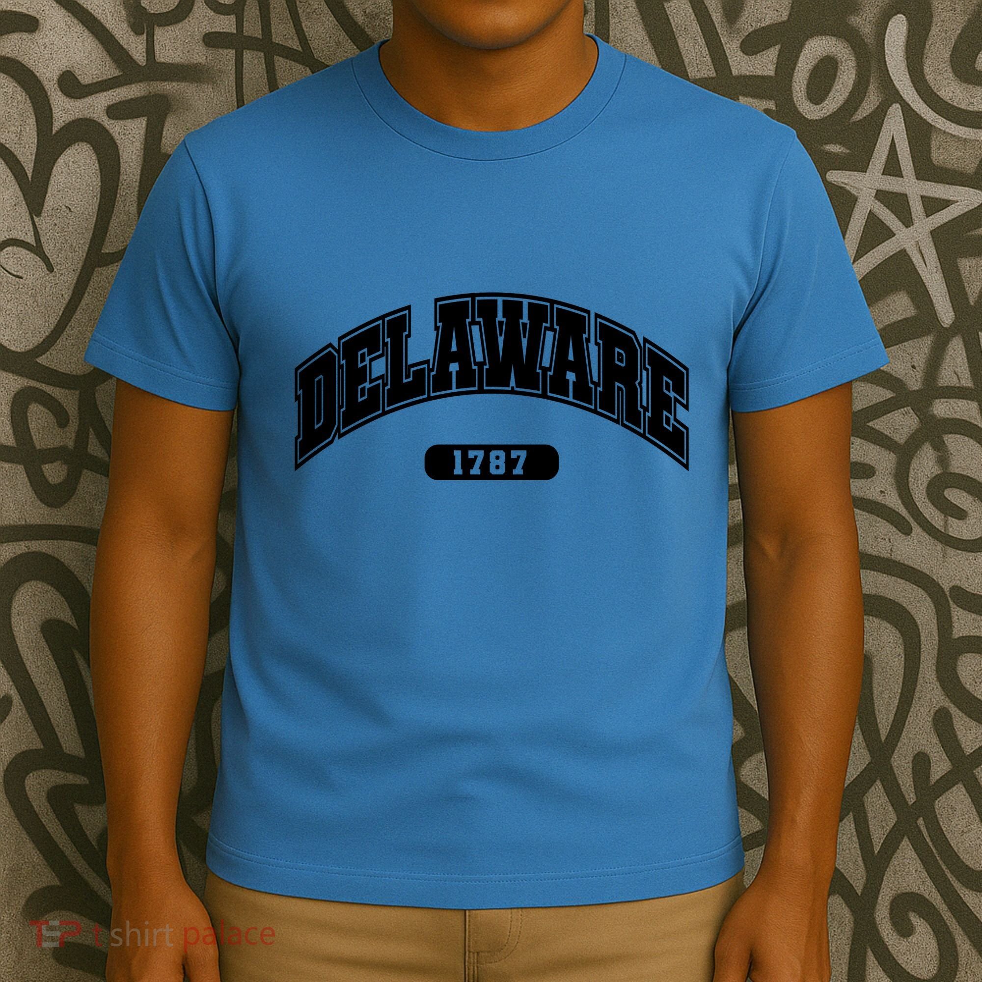 Delaware Collegiate Style 1787 T-Shirt