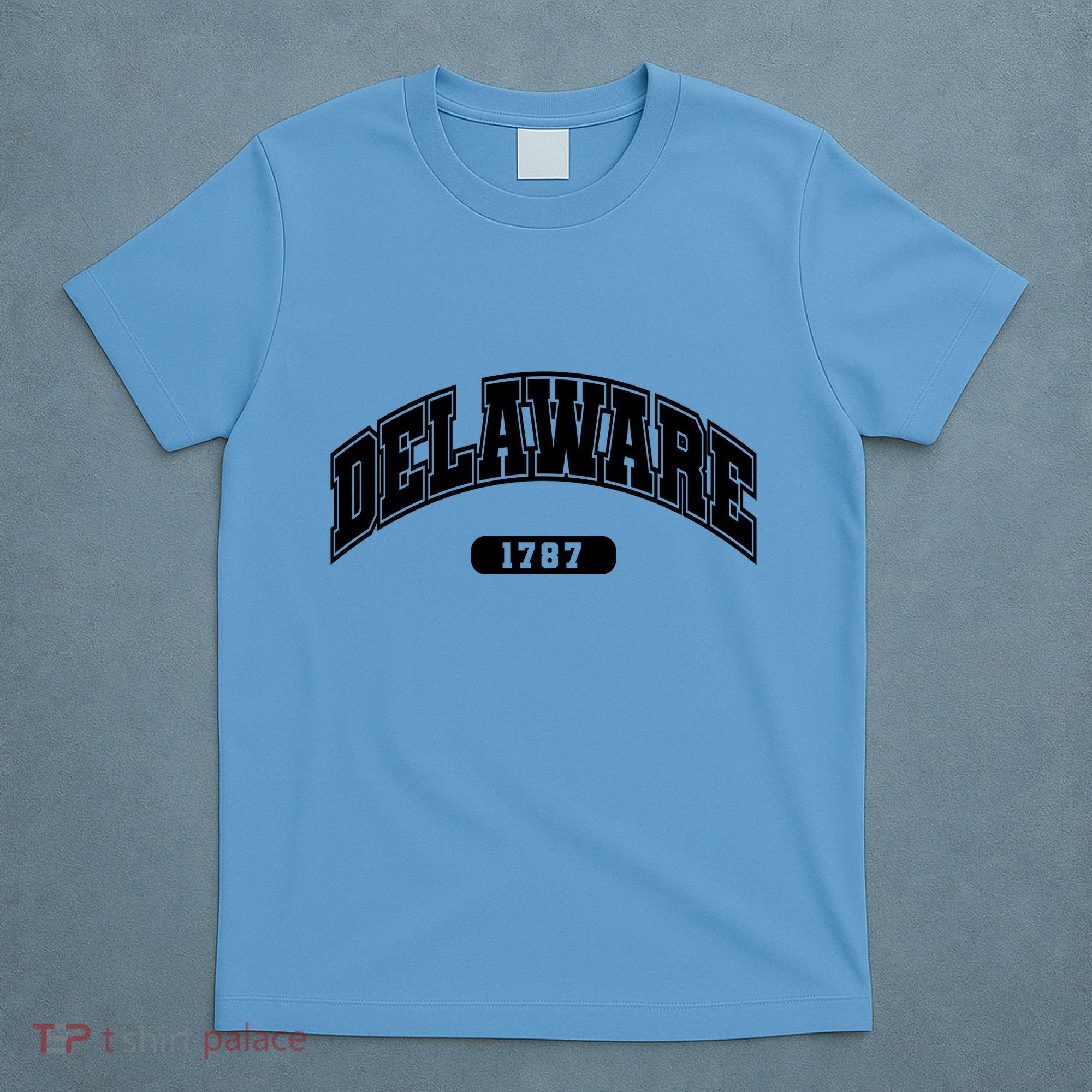 Delaware Collegiate Style 1787 T-Shirt