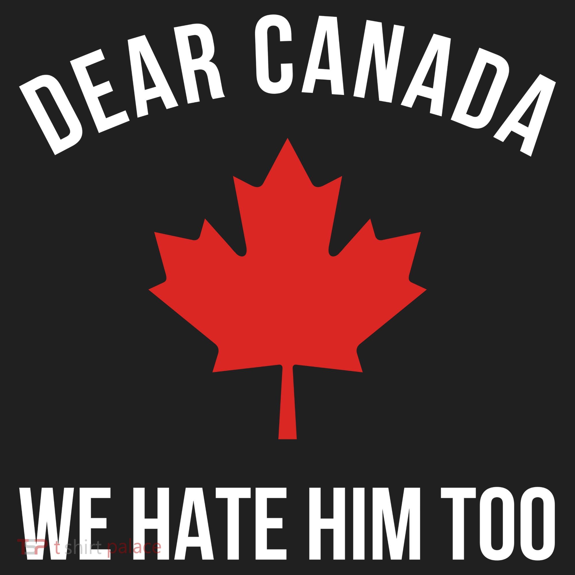 Dear Canada We Hate Him Too Hat