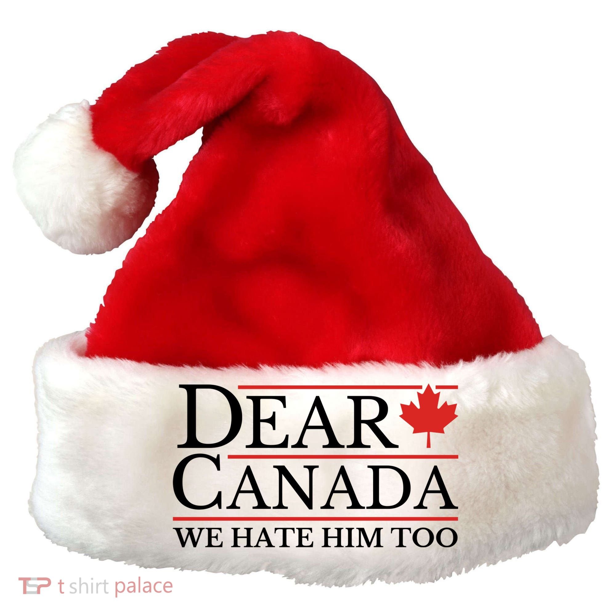 Dear Canada We Hate Him Too Santa Hat