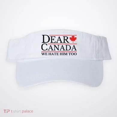 Visor