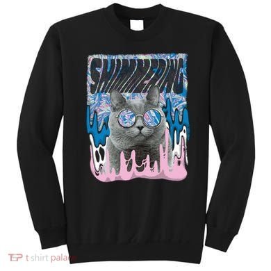 Dazed Cat With Glasses Sweatshirt