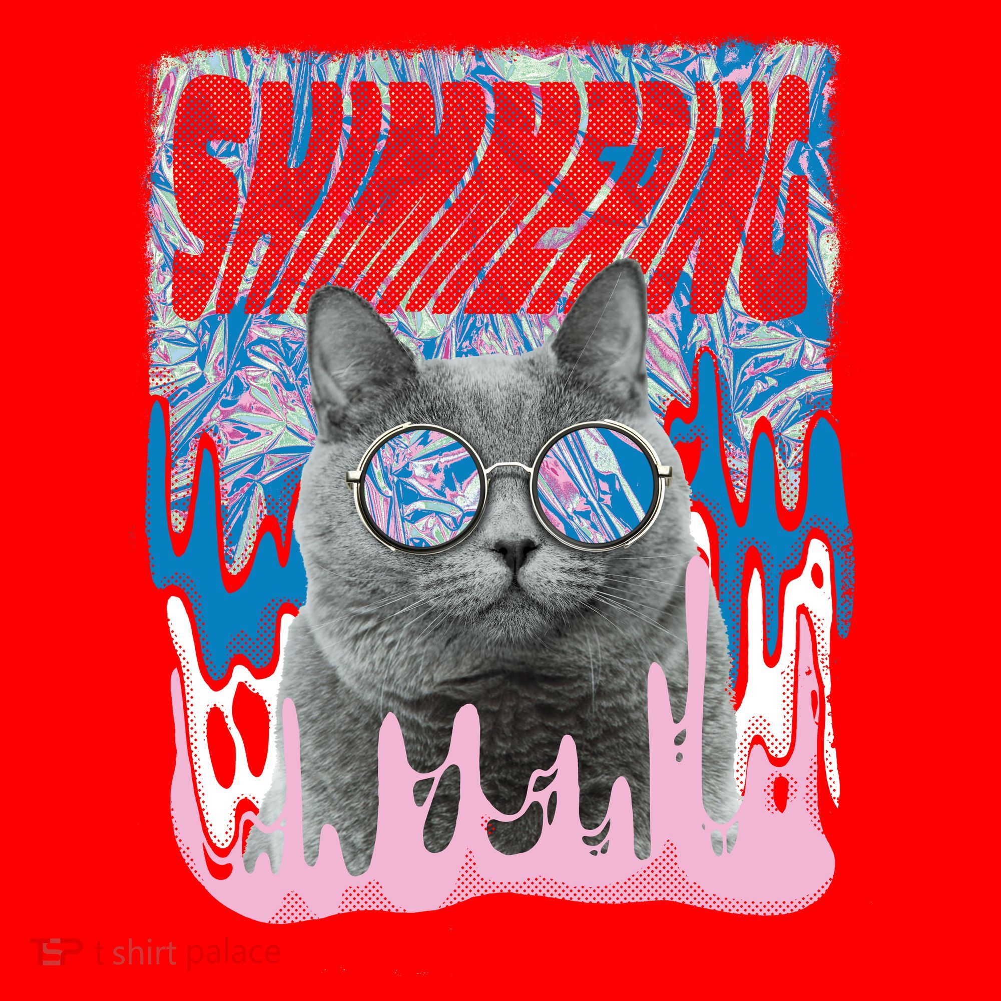 Dazed Cat With Glasses Santa Hat