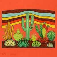 Desert Cactus Western Retro Women's T-Shirt thumb 6