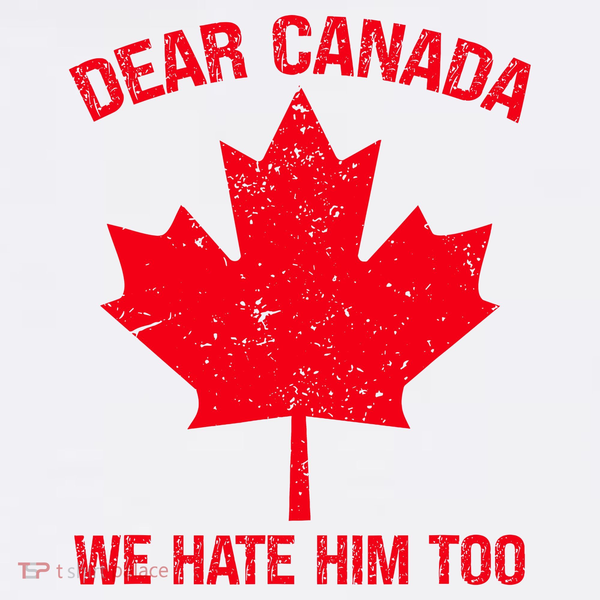 Dear Canada We Hate Him Too Kids Hoodie