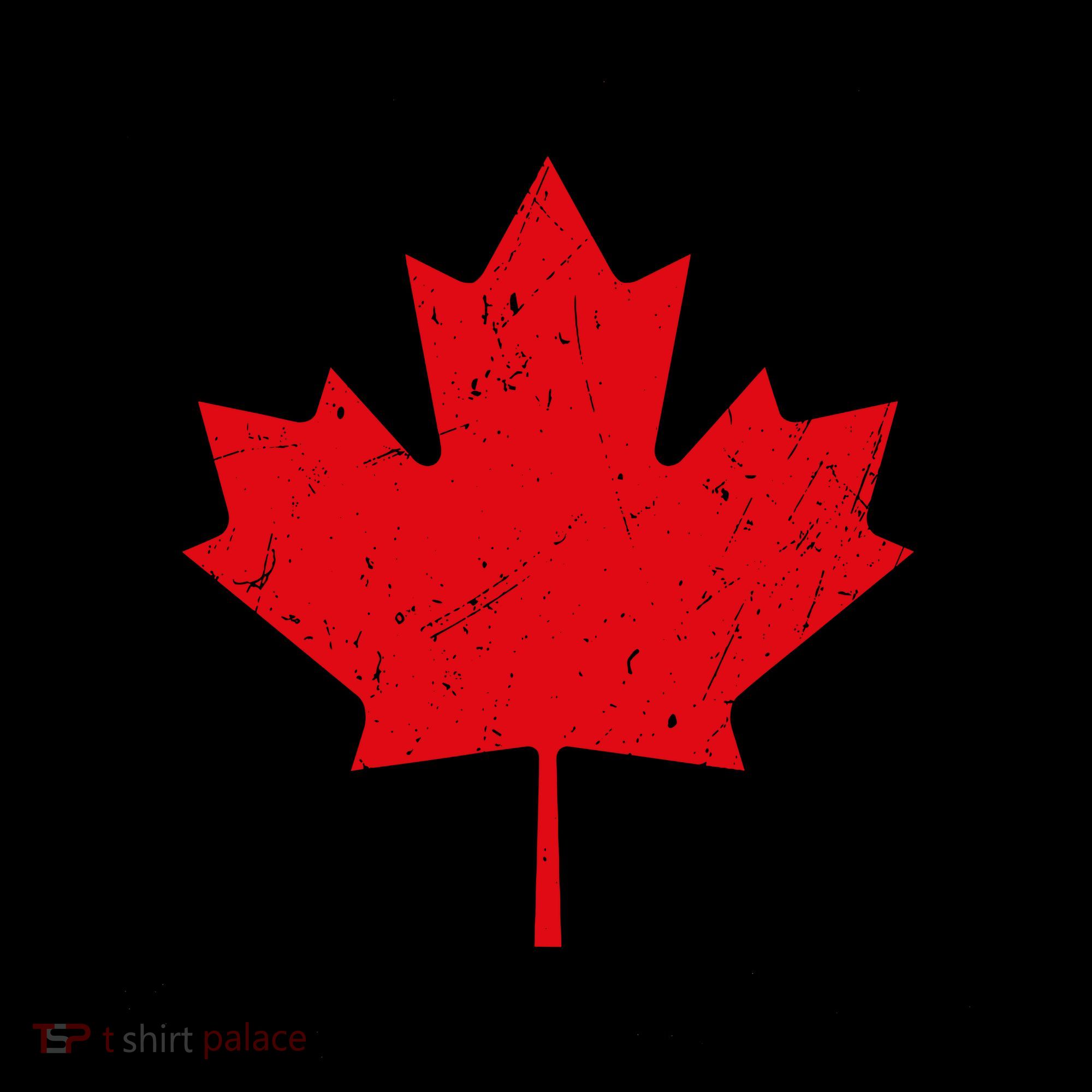 Dear Canada We Hate Him Too Anti Trump Coffee Mug