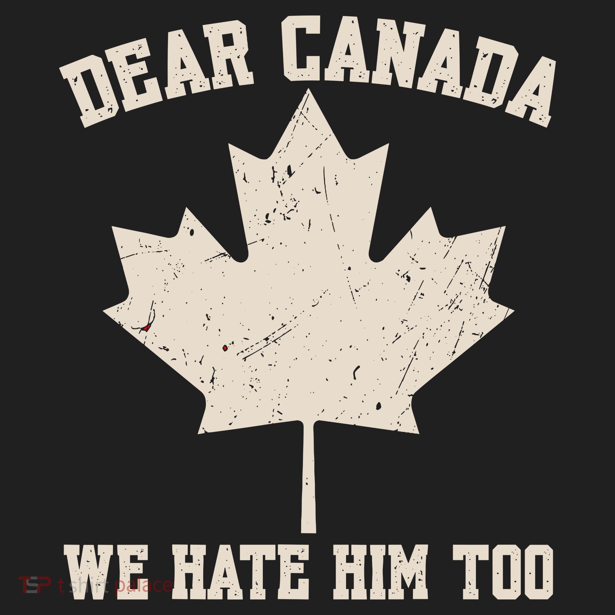 Dear Canada We Hate Him Too Anti Trump Beanie
