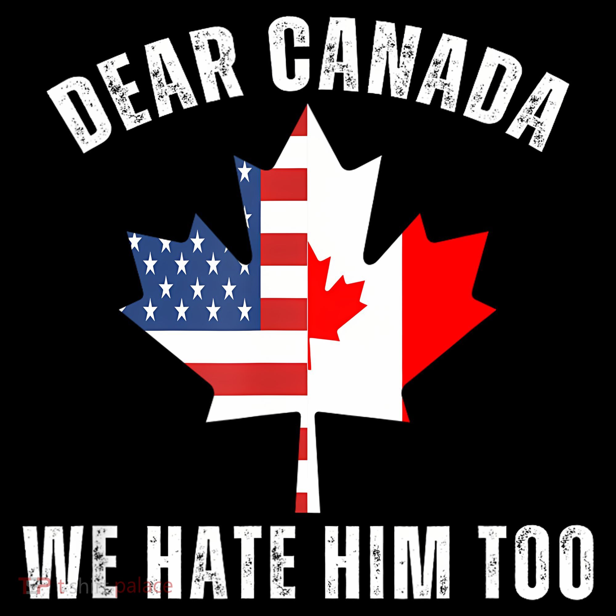 Dear Canada We Hate Him Too Anti Trump Canadian Protest Women's Hoodie