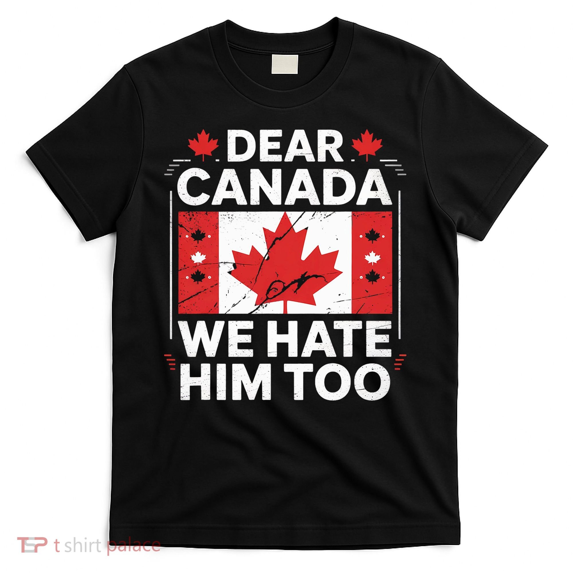 Dear Canada We Hate Him Too  T-Shirt