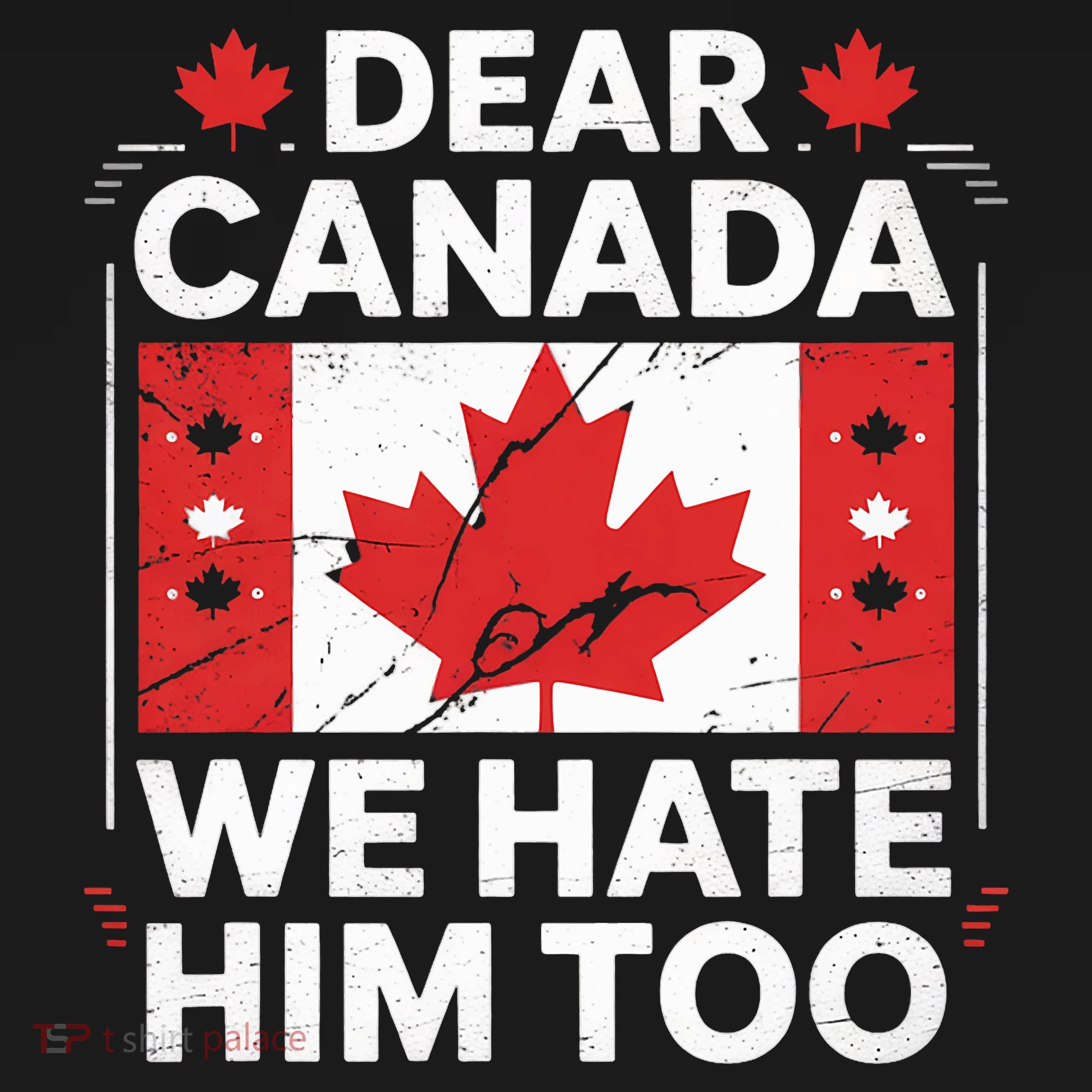 Dear Canada We Hate Him Too  T-Shirt