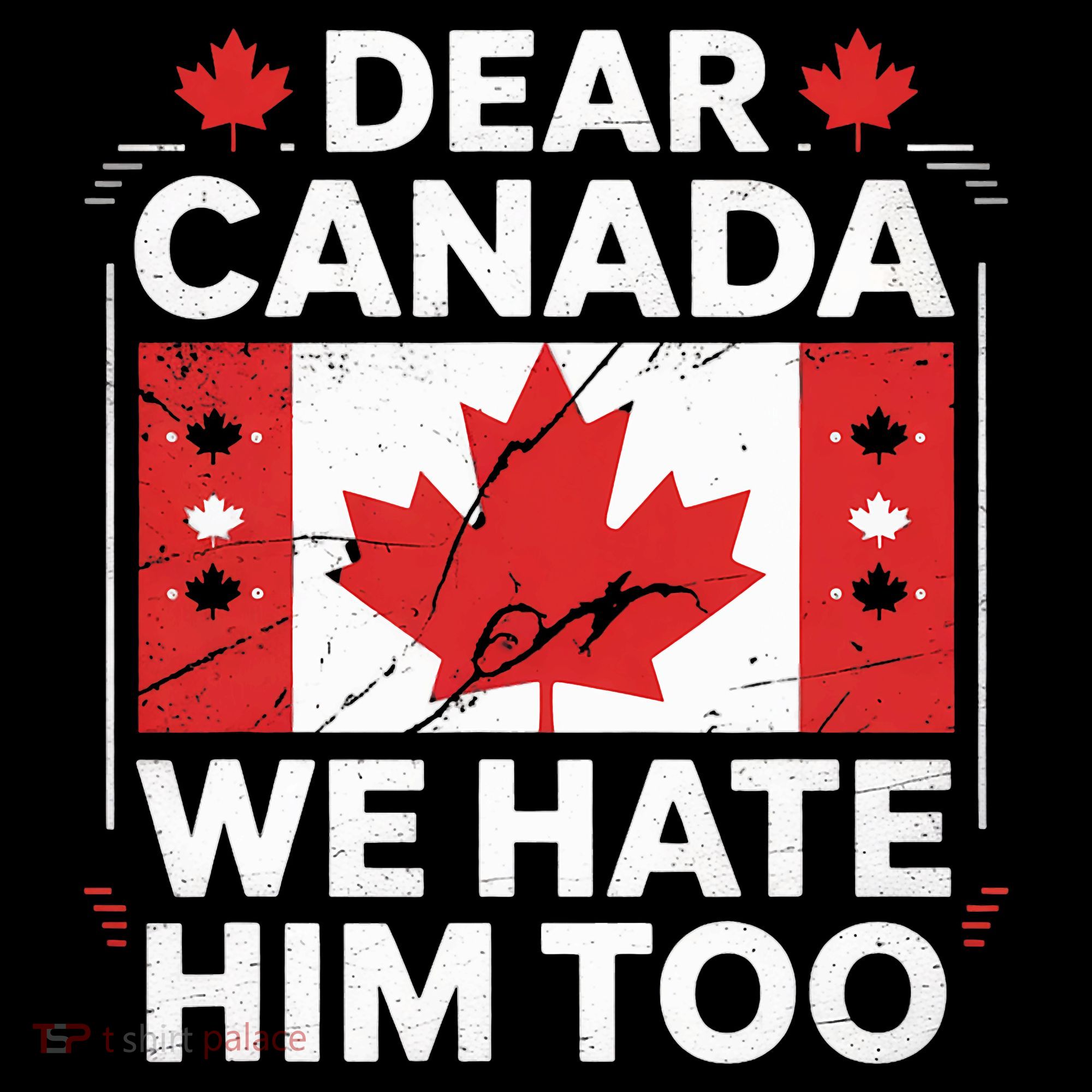 Dear Canada We Hate Him Too  Kids T-Shirt