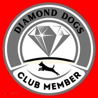 Diamond Dogs Club Member Santa Hat thumb 1