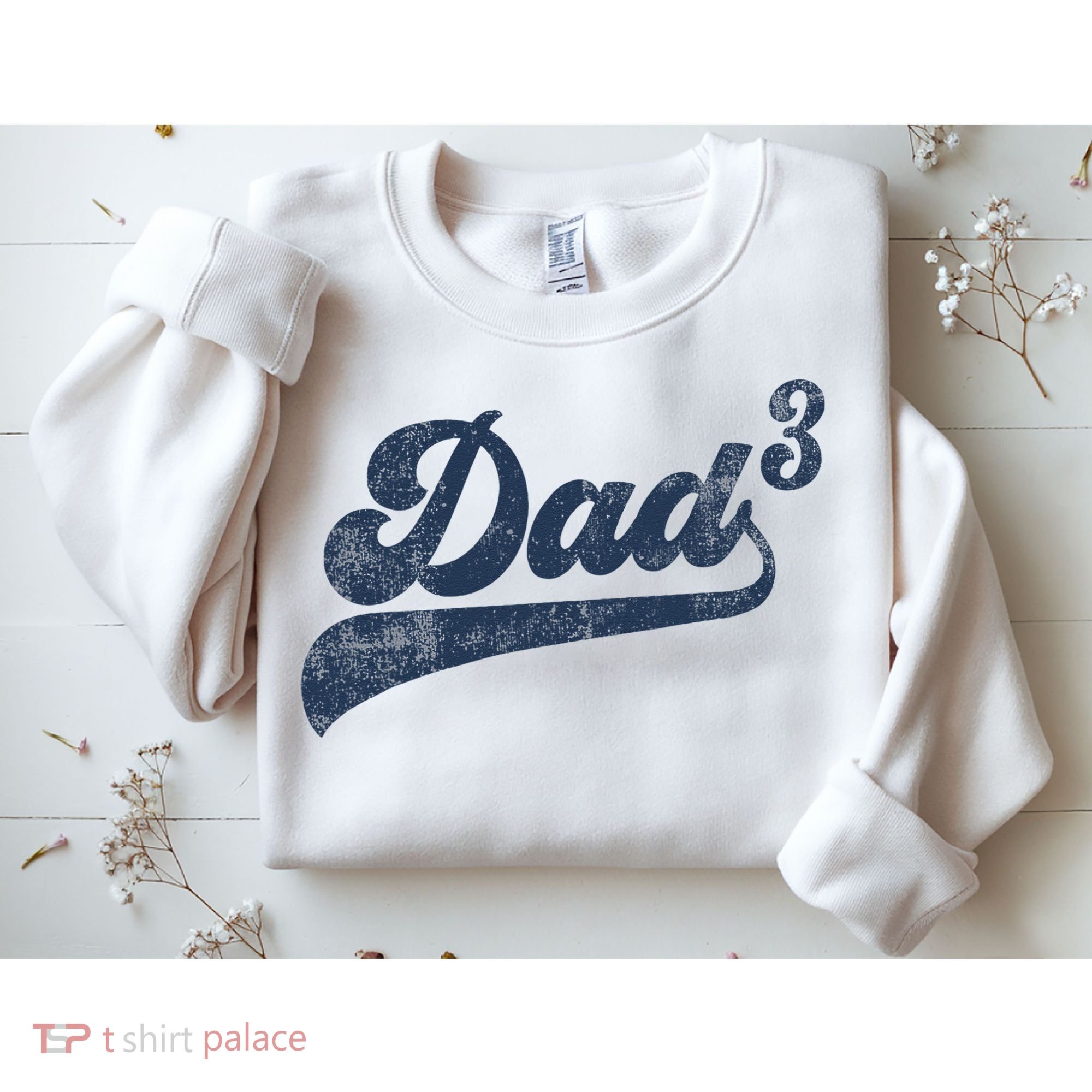Dad3 Dad Cubed Gifts Father Of Three Daddy 3 Third Time Dad Sweatshirt