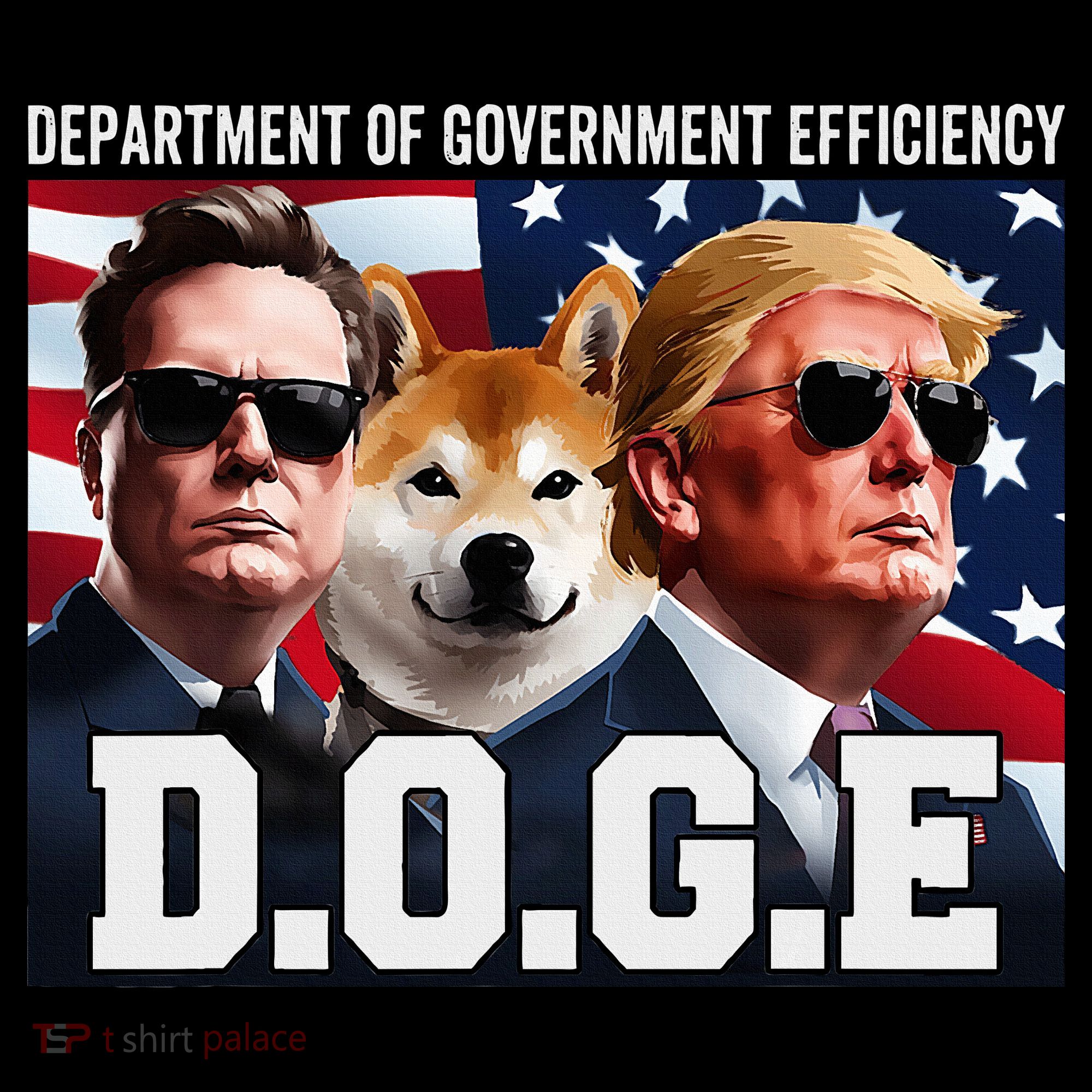 D.O.G.E Doge Department Of Government Efficiency Women's Hoodie
