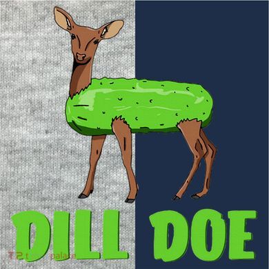 Dill Doe Kids Colorblock Raglan Jersey