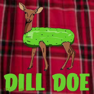 Dill Doe Women's Flannel Plaid Pajama Pants