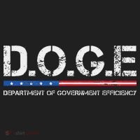 Doge D.O.G.E. Department Of Government Efficiency Gift Beanie thumb 2