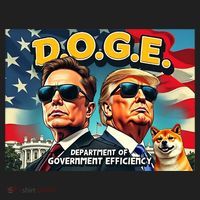 D.O.G.E Doge Department Of Government Efficiency Trump Elon Hat thumb 2
