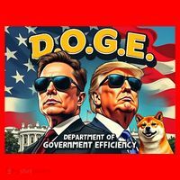 D.O.G.E Doge Department Of Government Efficiency Trump Elon Santa Hat thumb 1