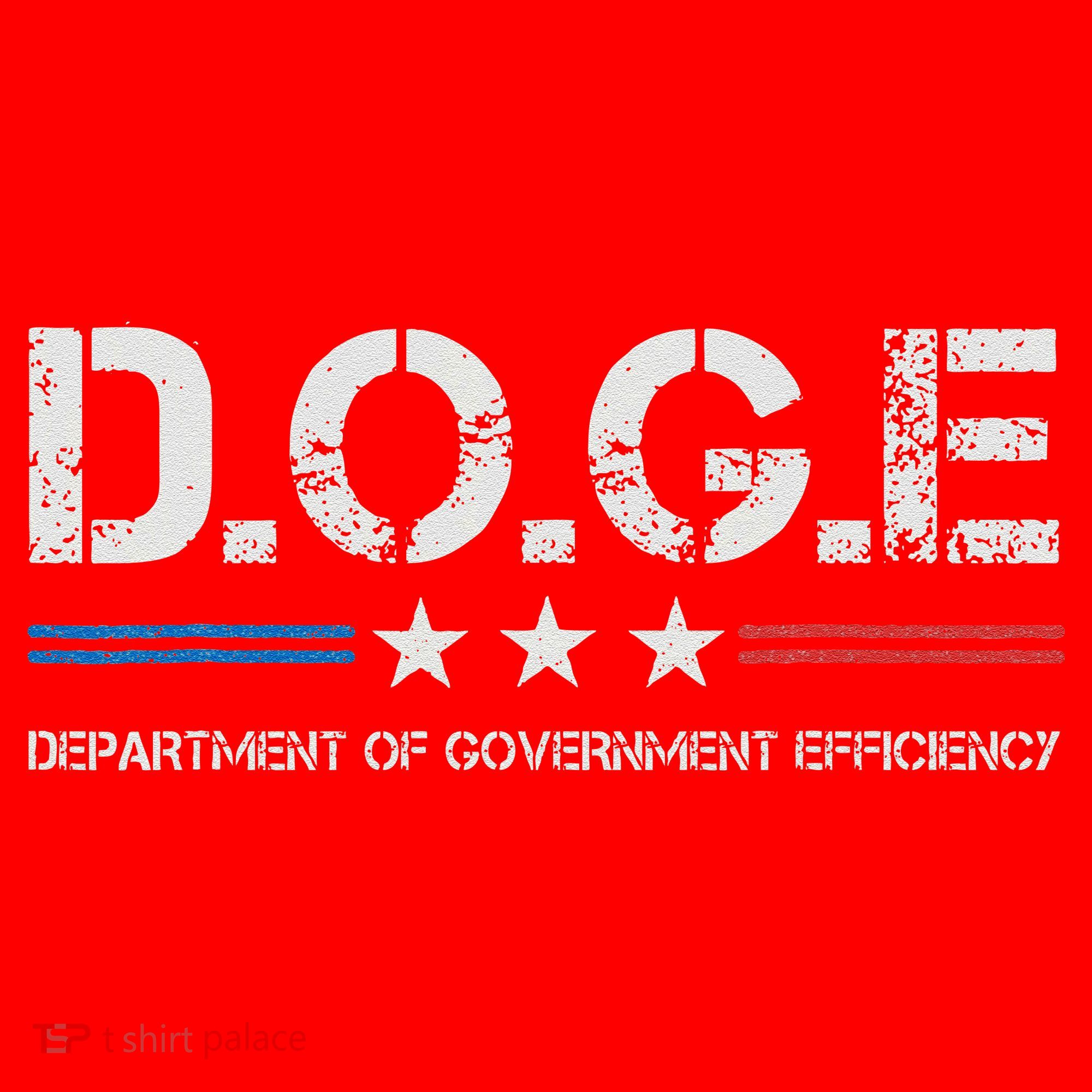 Doge D.O.G.E. Department Of Government Efficiency Santa Hat