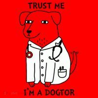 Dogtor Dog Doctor Santa Hat thumb 1