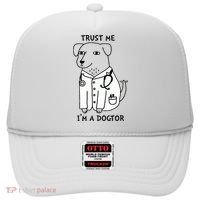 Dogtor Dog Doctor Hat thumb 0