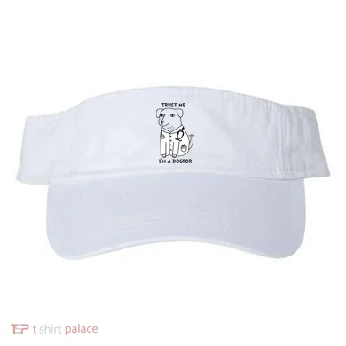 Visor