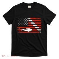 Diver Down Dive Flag Scuba Diving American Flag T-Shirt thumb 0