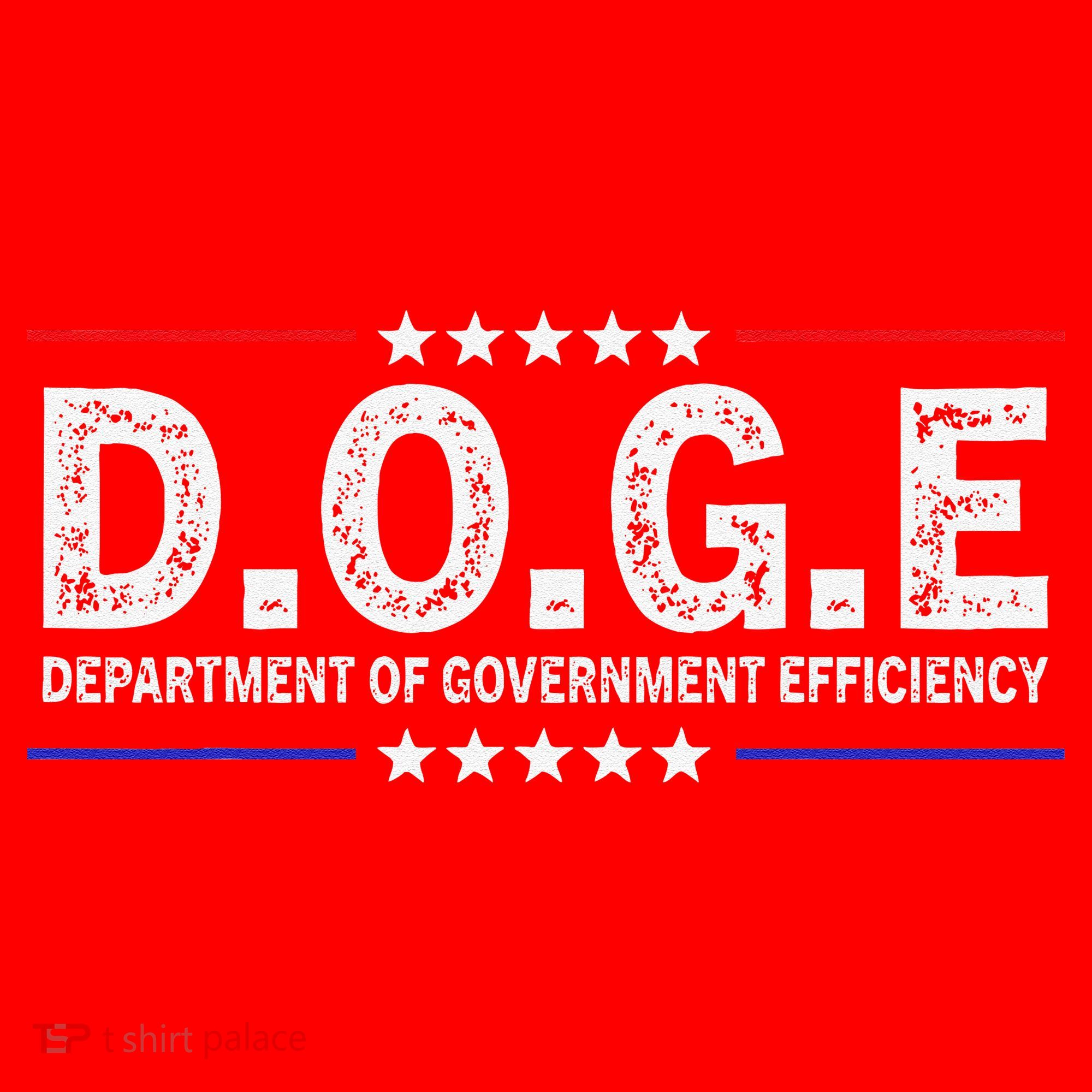 D.O.G.E Doge Department Of Government Efficiency Santa Hat