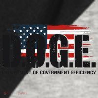 D.O.G.E Doge Department Of Government Efficiency Raglan Baseball Sleeve Shirt thumb 2