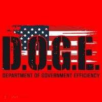 D.O.G.E Doge Department Of Government Efficiency Santa Hat thumb 1