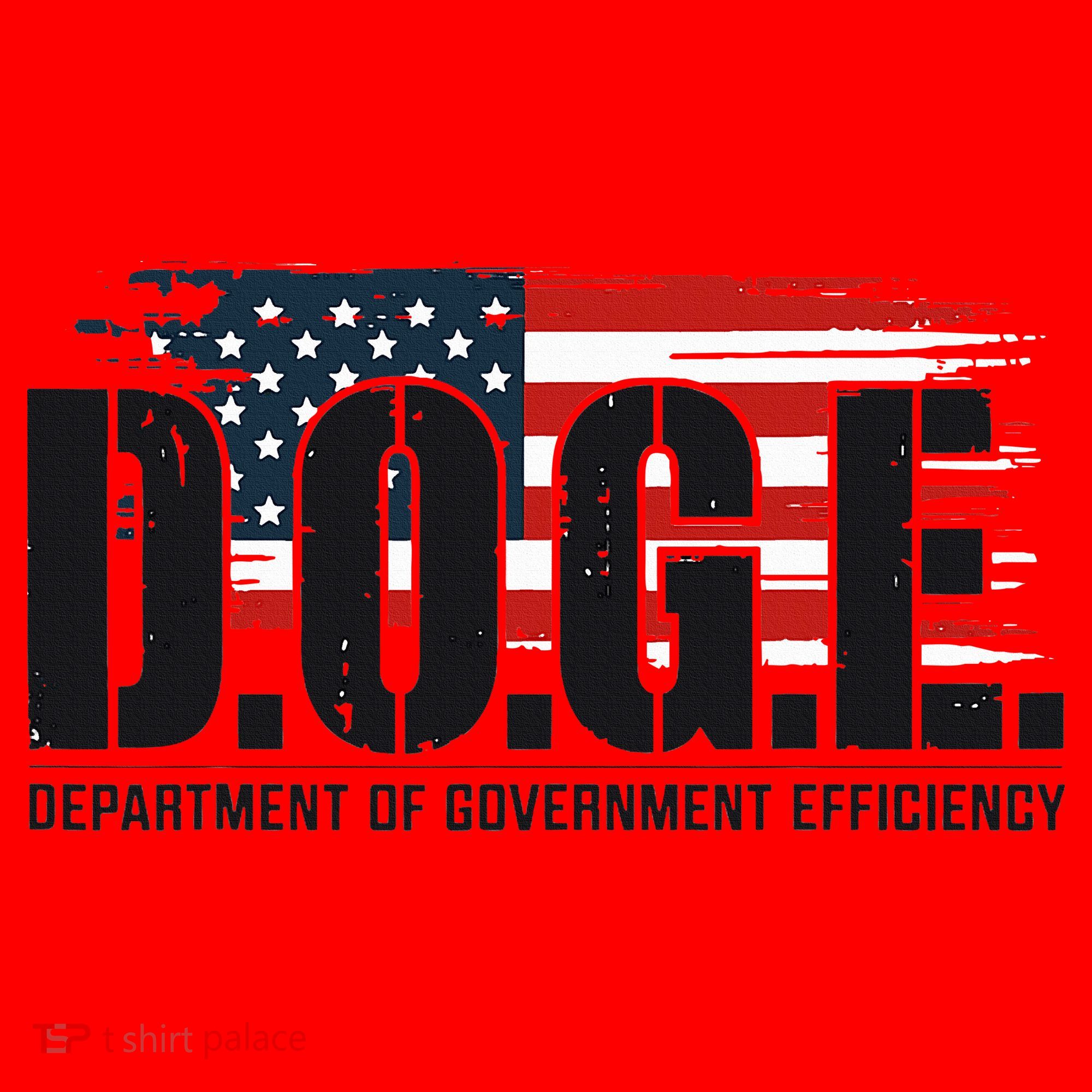 D.O.G.E Doge Department Of Government Efficiency Santa Hat