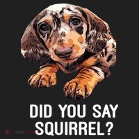 Dapple Dachshund Did You Say Squirrel Hooded Gift Beanie thumb 2