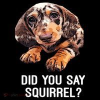 Dapple Dachshund Did You Say Squirrel Hooded Gift Women's Hoodie thumb 2