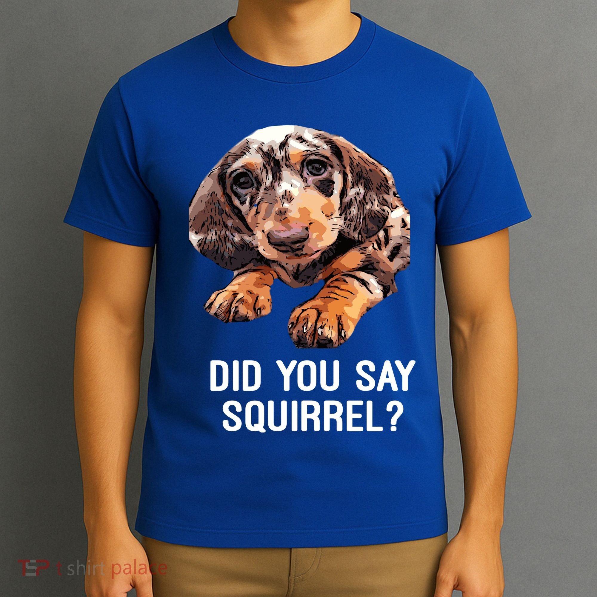 Dapple Dachshund Did You Say Squirrel Hooded Gift T-Shirt