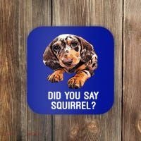Dapple Dachshund Did You Say Squirrel Hooded Gift Coaster thumb 0