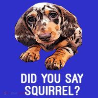 Dapple Dachshund Did You Say Squirrel Hooded Gift Mousepad thumb 1