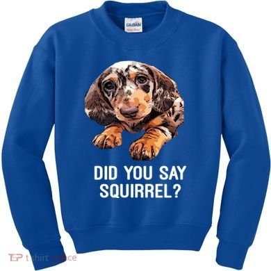 Dapple Dachshund Did You Say Squirrel Hooded Gift Kids Sweatshirt