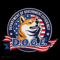 Doge D.O.G.E. Department Of Government Efficiency Women's Hoodie thumb 2