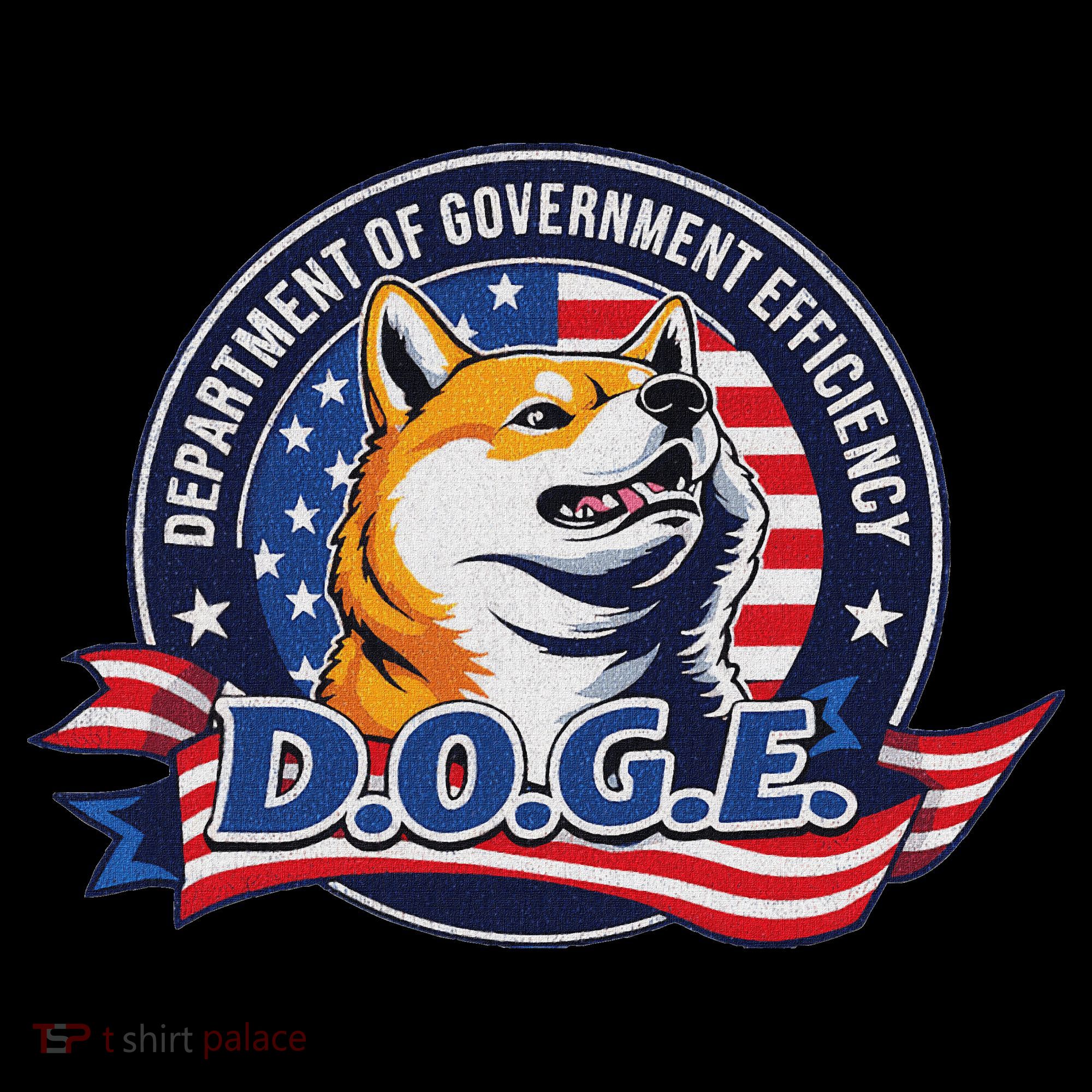 Doge D.O.G.E. Department Of Government Efficiency Women's Hoodie
