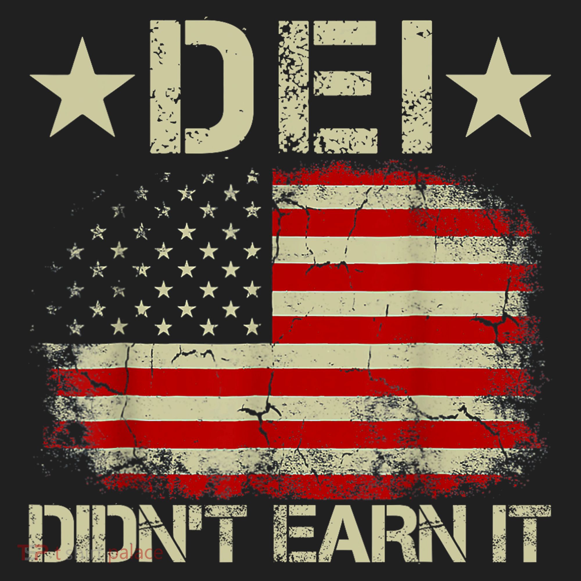 Dei Dei DidnT Earn It Joke Funny Beanie