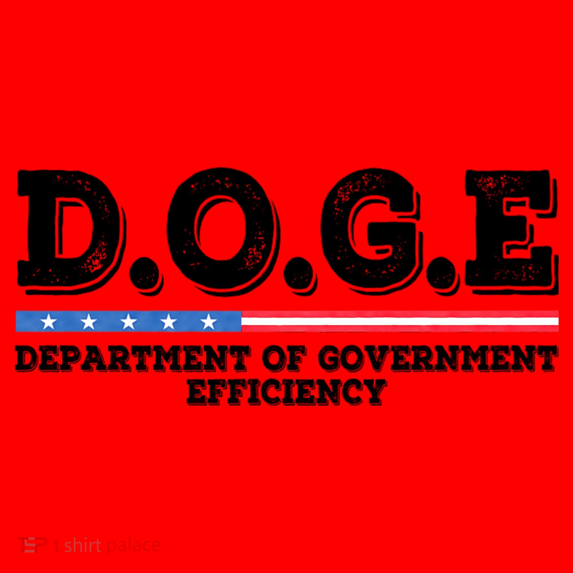Doge D.O.G.E. Department Of Government Efficiency Santa Hat