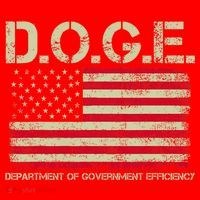 D.O.G.E Doge Department Of Government Efficiency On Back Santa Hat thumb 1