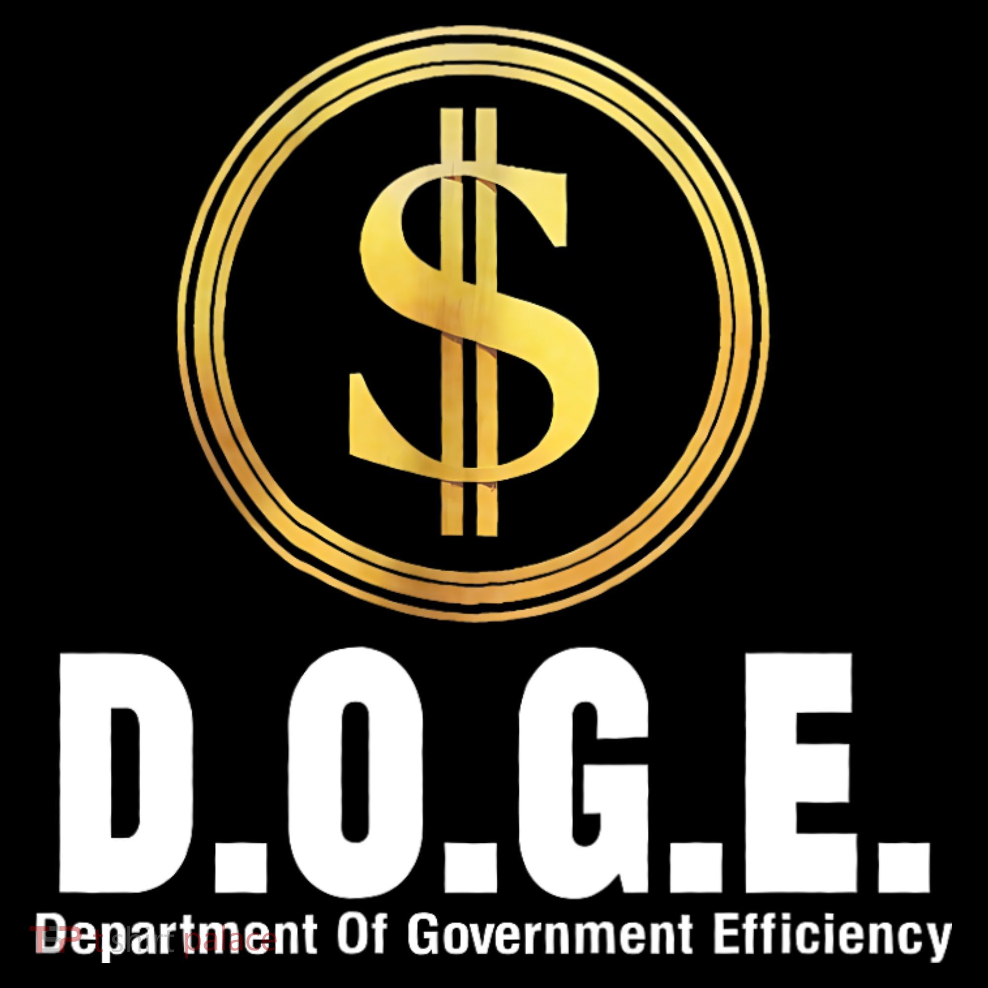 D.O.G.E Doge Department Of Government Efficiency Women's Hoodie