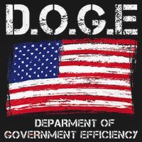 D.O.G.E Doge Department Of Government Efficiency Hoodie thumb 7