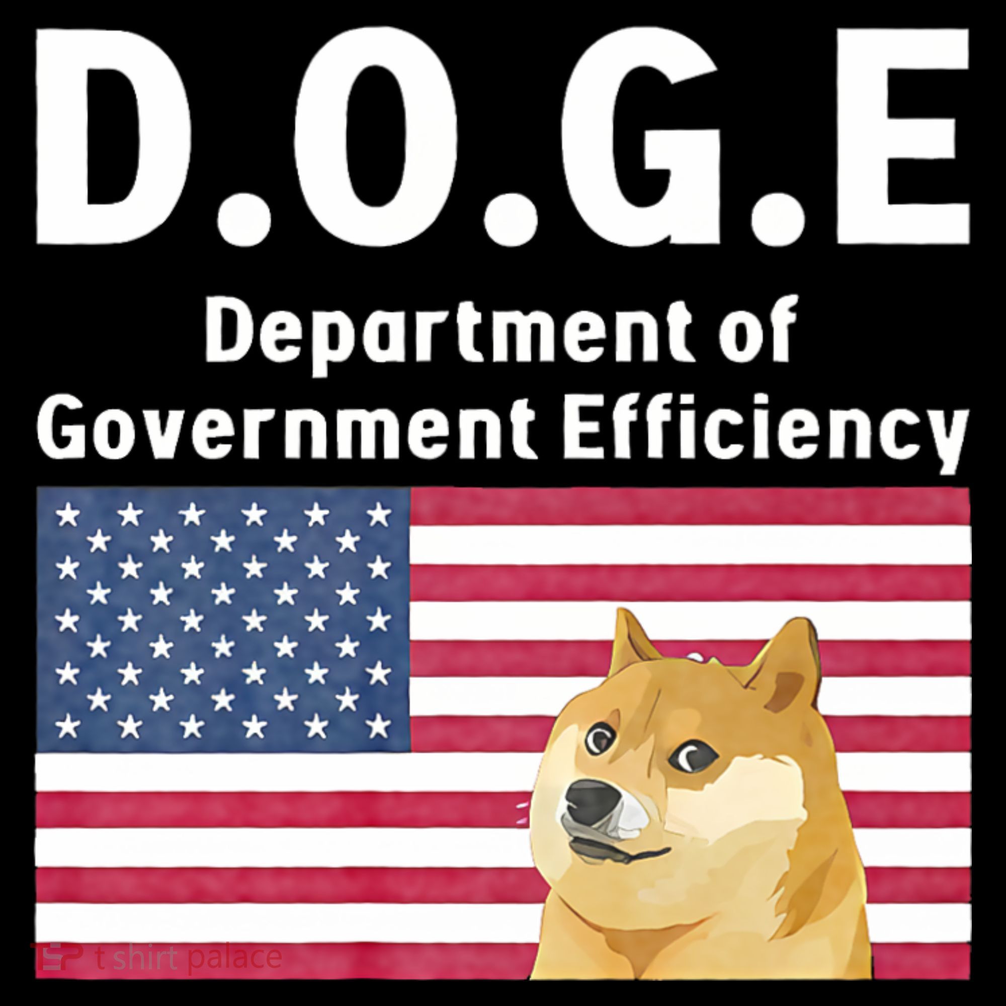 D.O.G.E Doge Department Of Government Efficiency Women's Hoodie