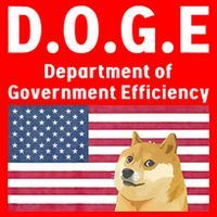 D.O.G.E Doge Department Of Government Efficiency Santa Hat thumb 1