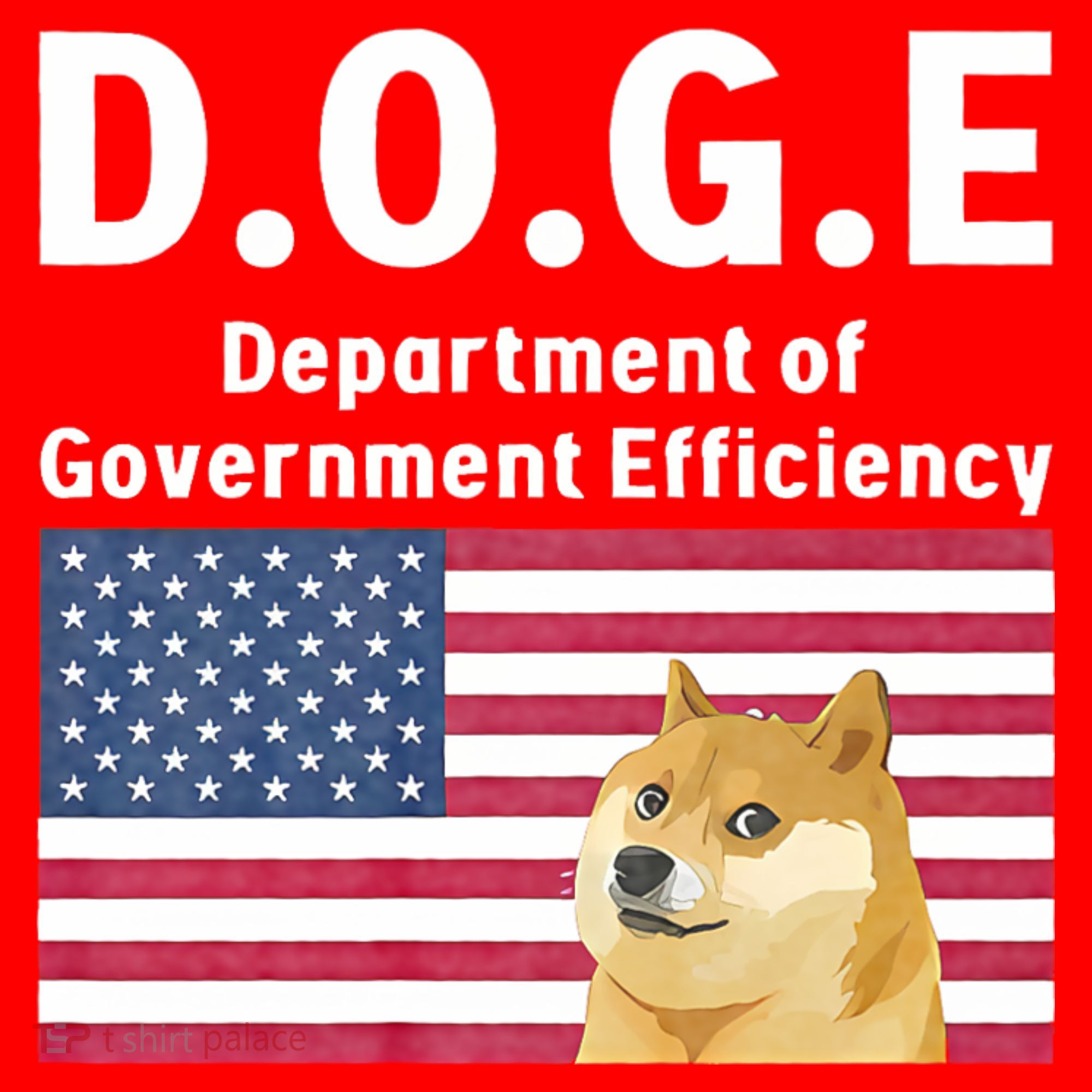 D.O.G.E Doge Department Of Government Efficiency Santa Hat
