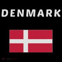 Denmark Danish Flag Souvenir Gift Copenhagen Bucket Hat thumb 4
