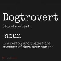 Dogtrovert Definition Funny Dog S Women's Long Sleeve Shirt thumb 2